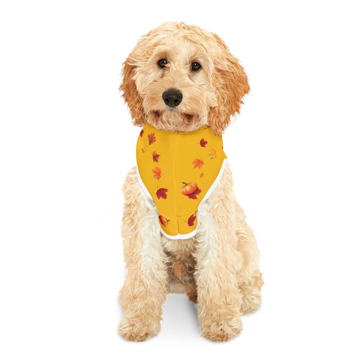 GA Ludo Leaves and Pumpkins, Pet Hoodie (Yellow)