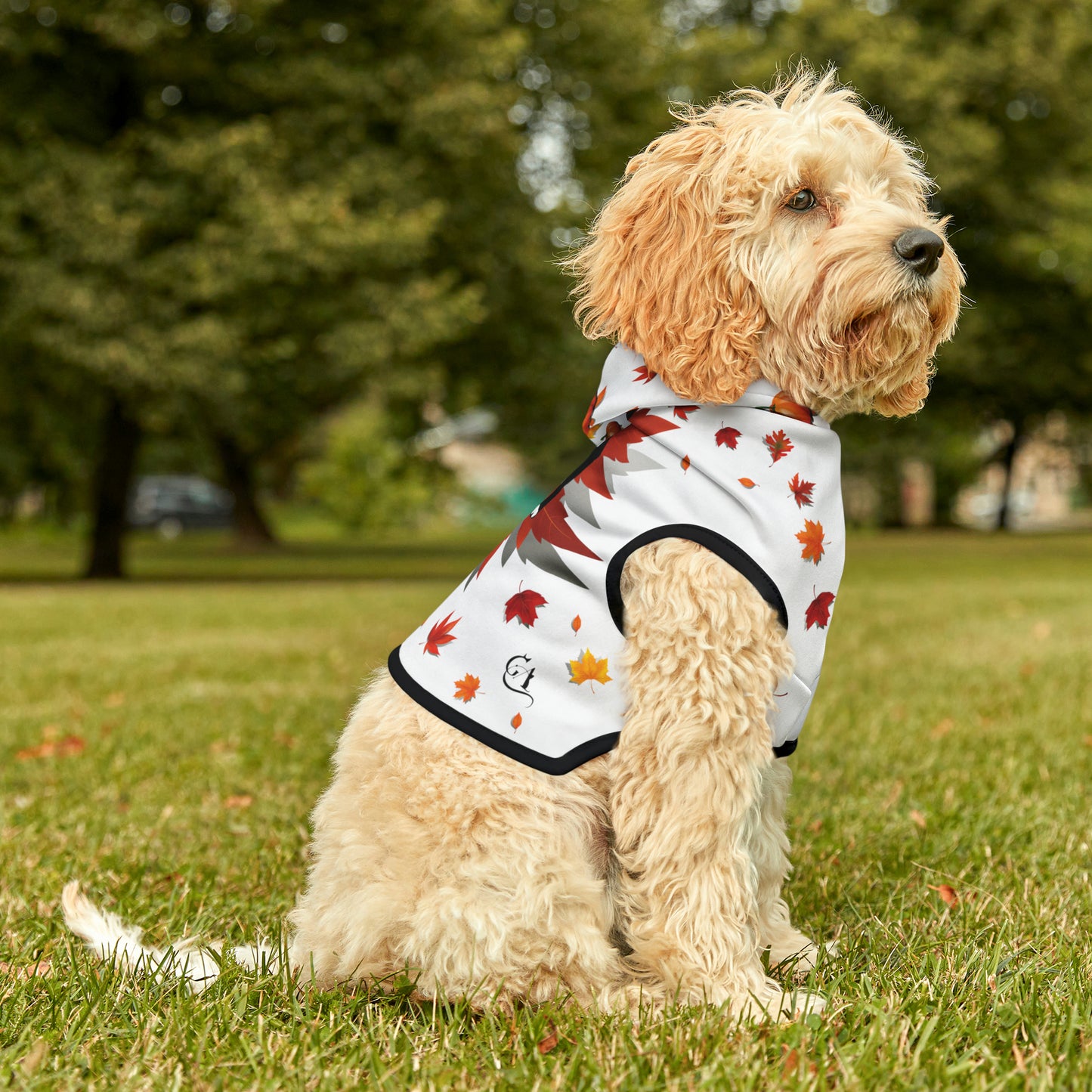 GA Ludo Leaves and Pumpkins, Pet Hoodie (White)