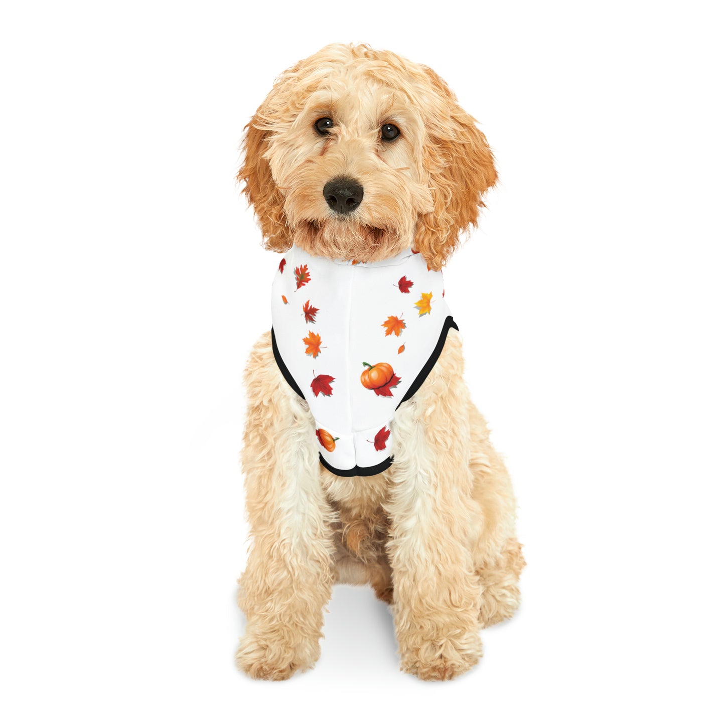 GA Ludo Leaves and Pumpkins, Pet Hoodie (Branco)