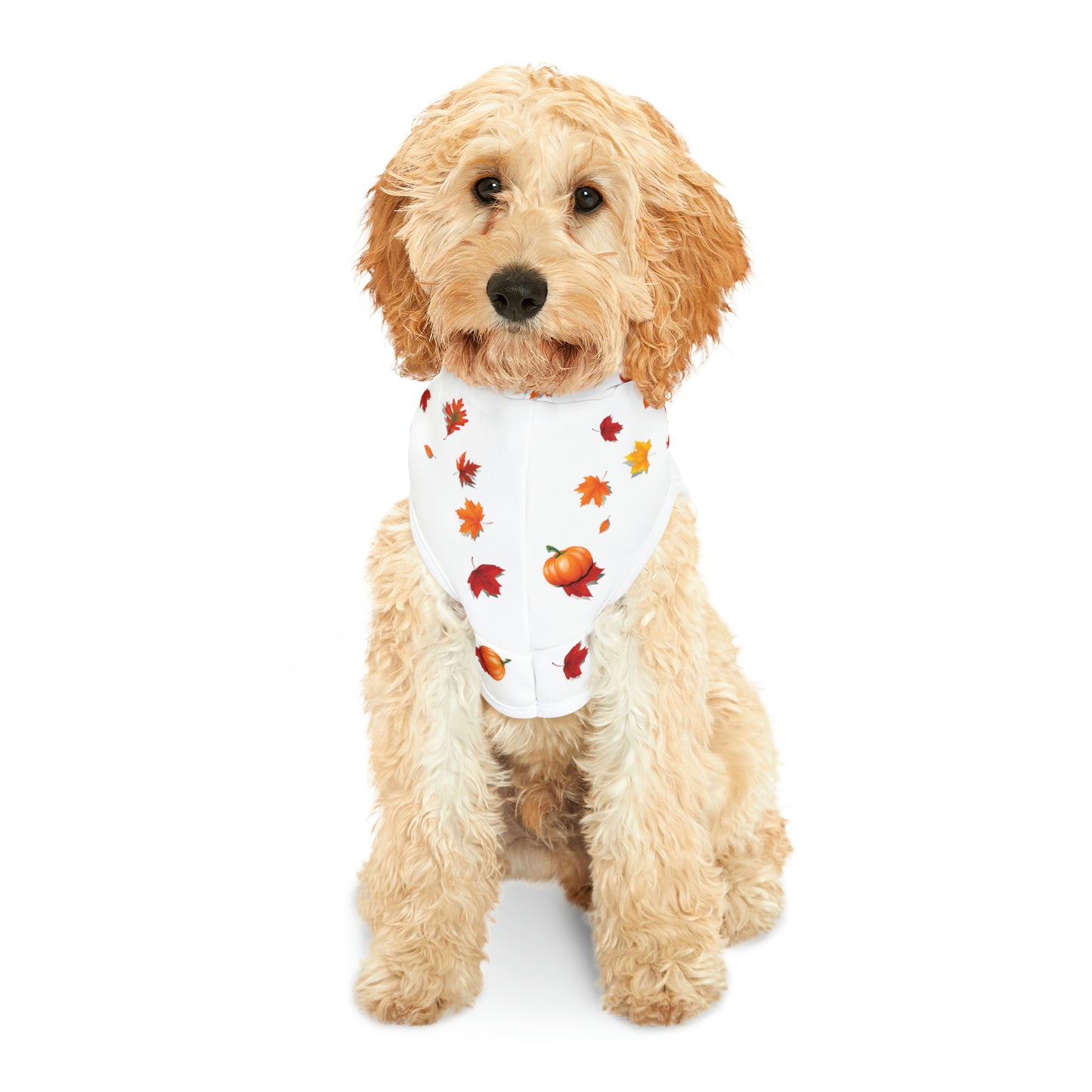 GA Ludo Leaves and Pumpkins, Pet Hoodie (Branco)