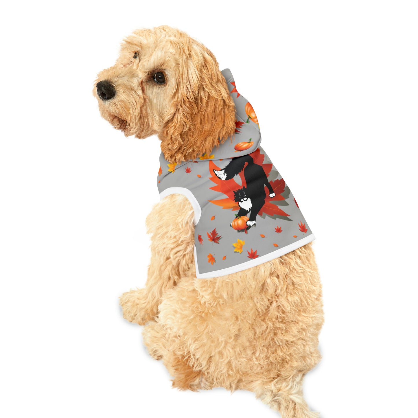 GA Ludo Leaves and Pumpkins, Pet Hoodie (Cinza) 