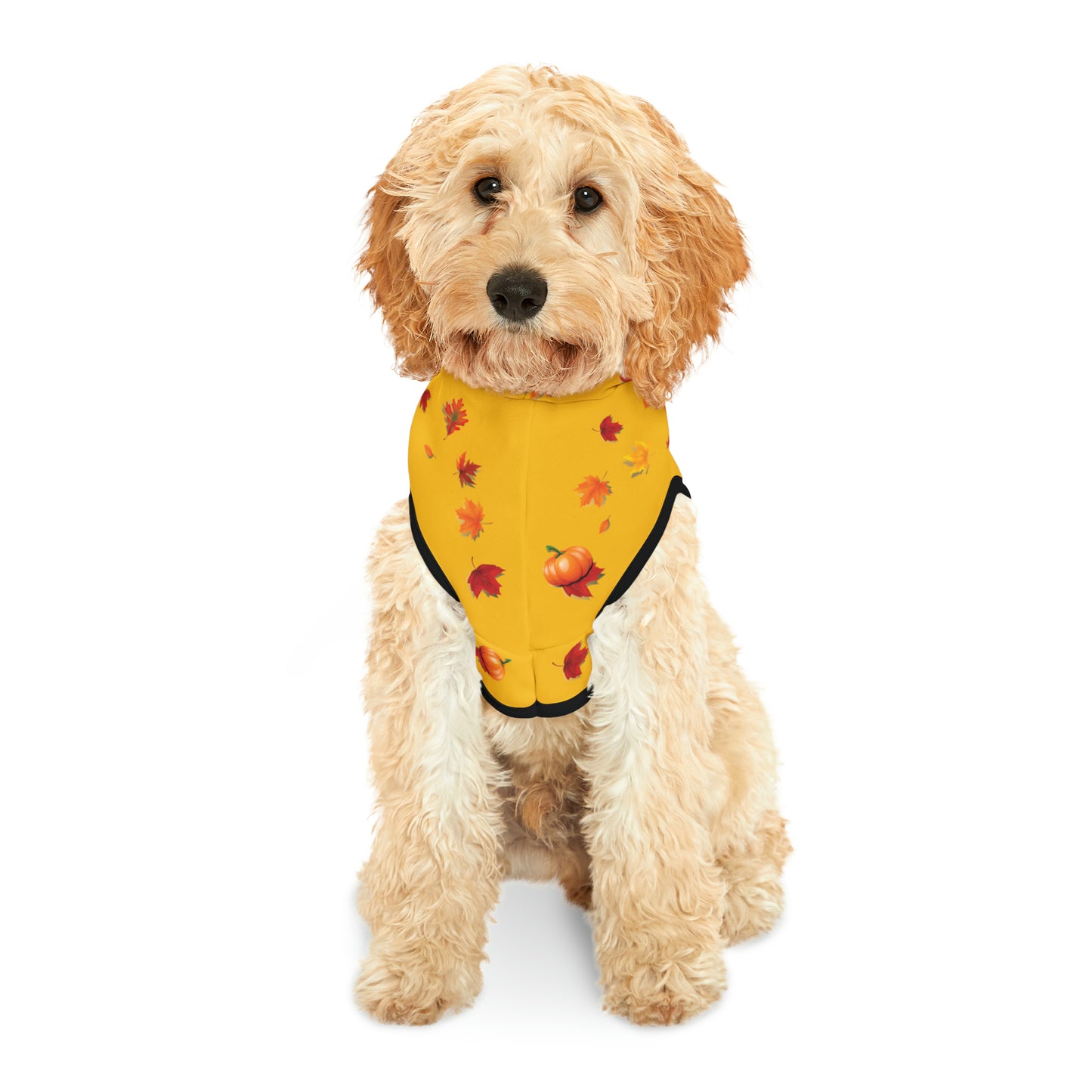 GA Ludo Leaves and Pumpkins, Pet Hoodie (Yellow)